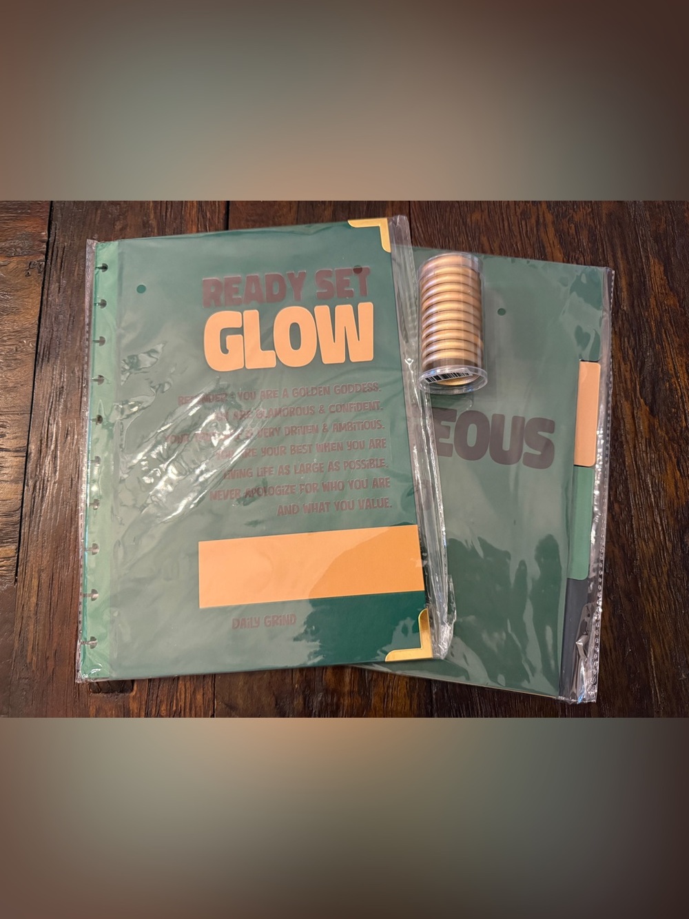 Brand New The Daily Grind Planner cover and dividers